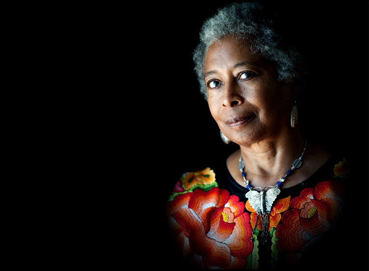 Preview image for A Snapshot Look at Alice Walker's "The Color Purple"