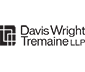 Dwt Logo Grey
