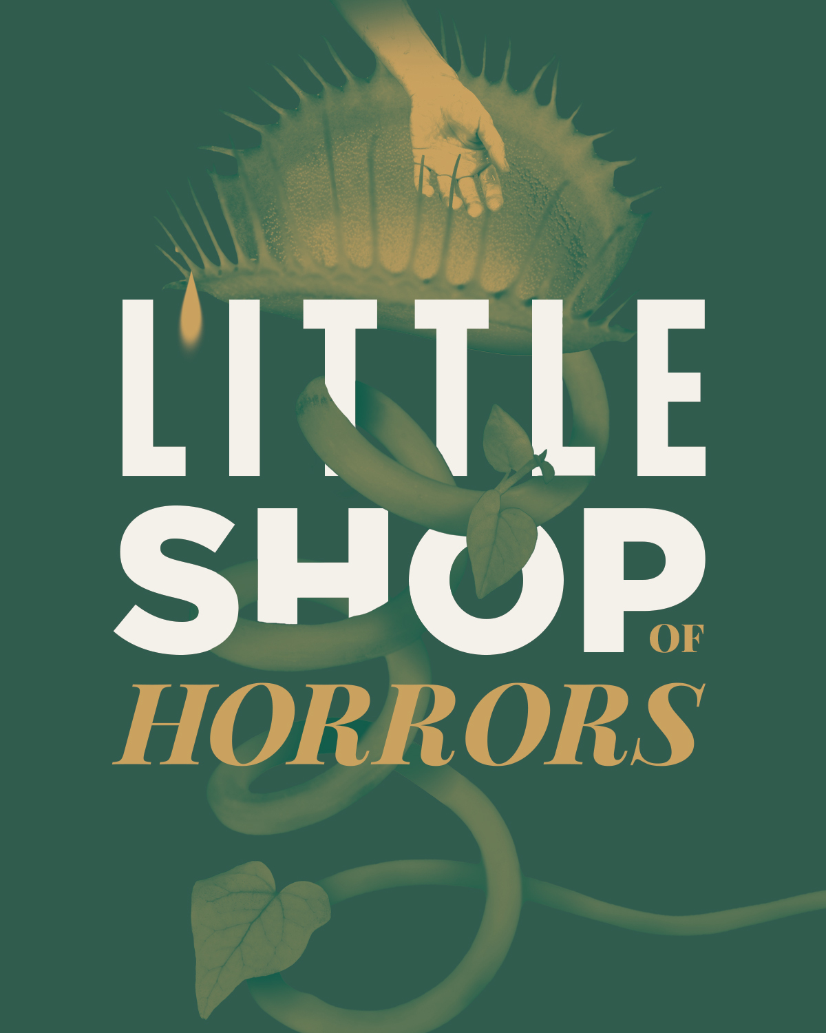 2 Little Shop 1200 1500