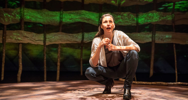 DeLanna Studi in And So We Walked at Triad Stage; photo by Bert VanderVeen.