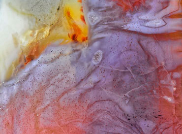 Preview image for Art Talks with Joe Cantrell 