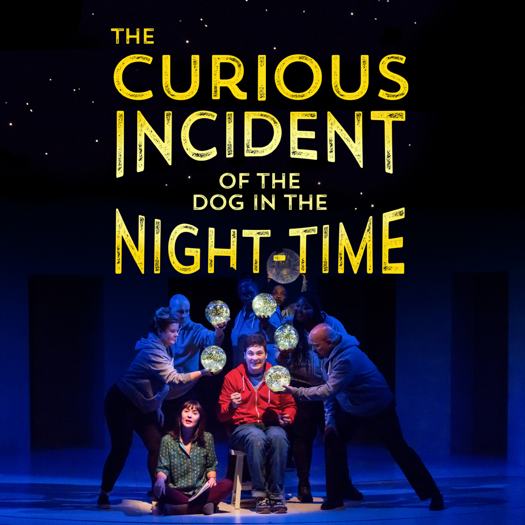Preview image for The Curious Incident of the Dog in the Night-Time
