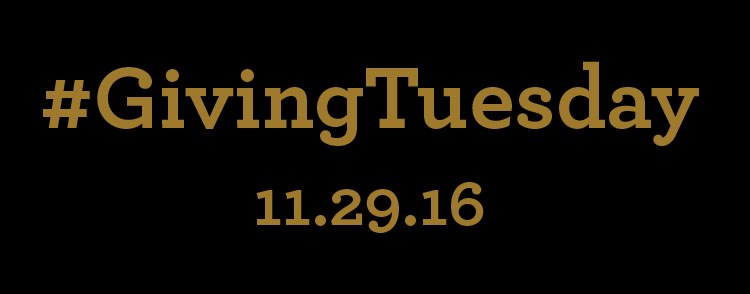 Giving Tuesday Banner