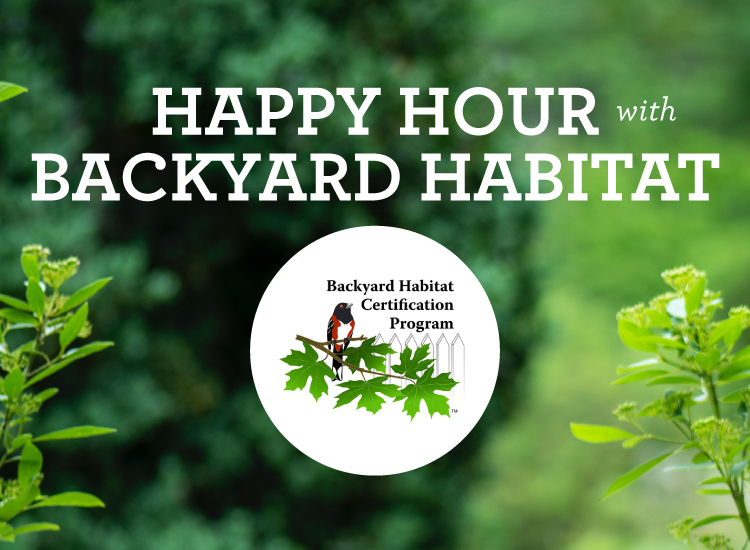 Hh Backyard Habitat 750X550