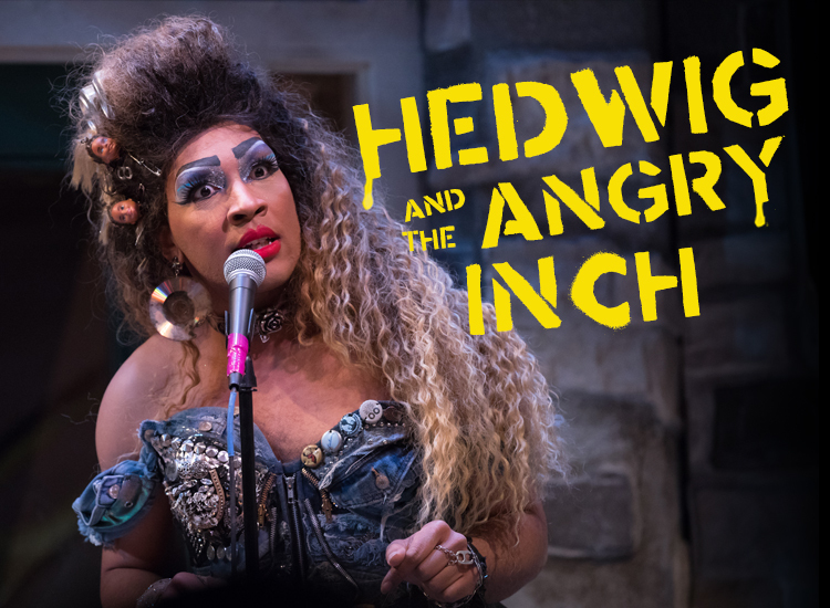 Preview image for Hedwig and the Angry Inch