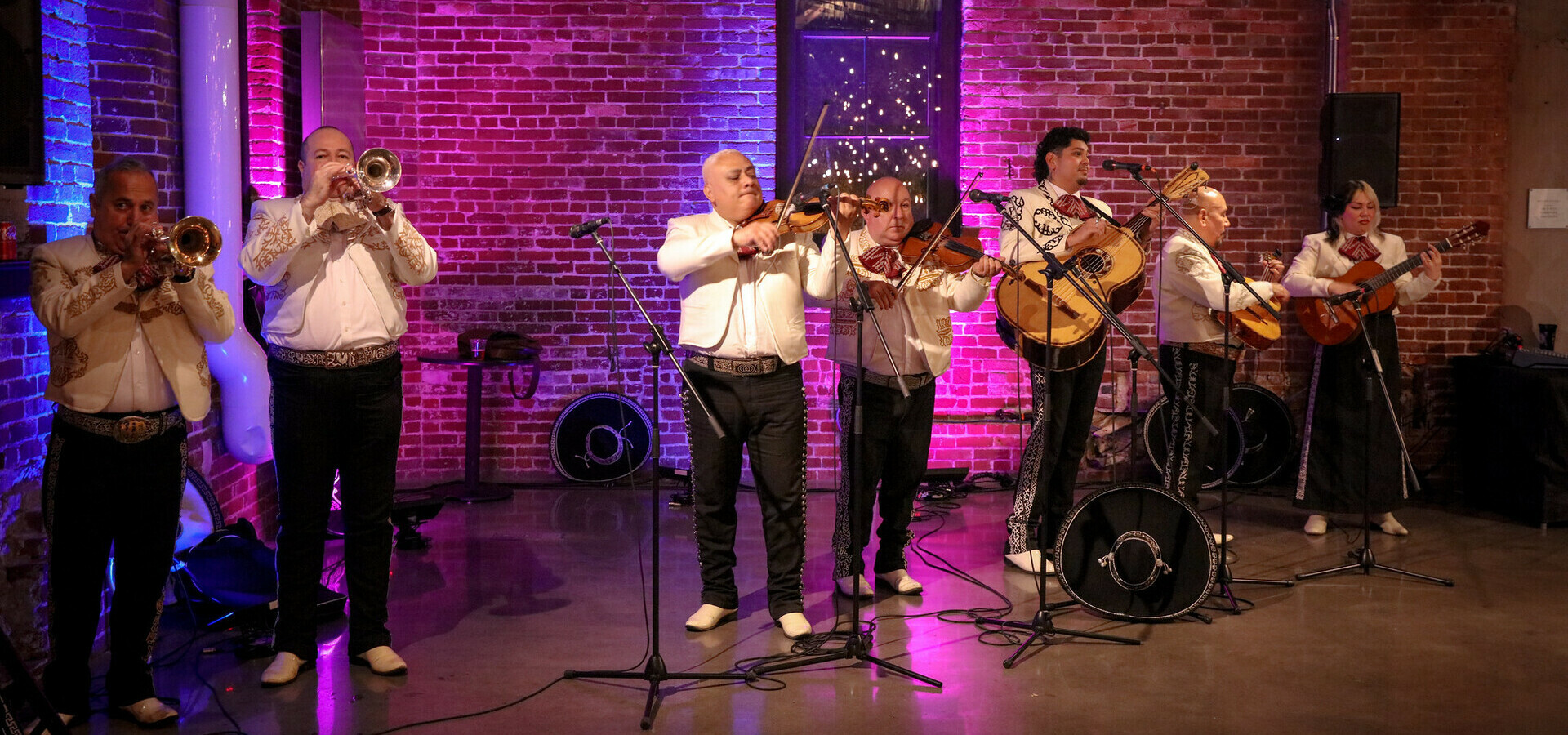 Mariachi Banner