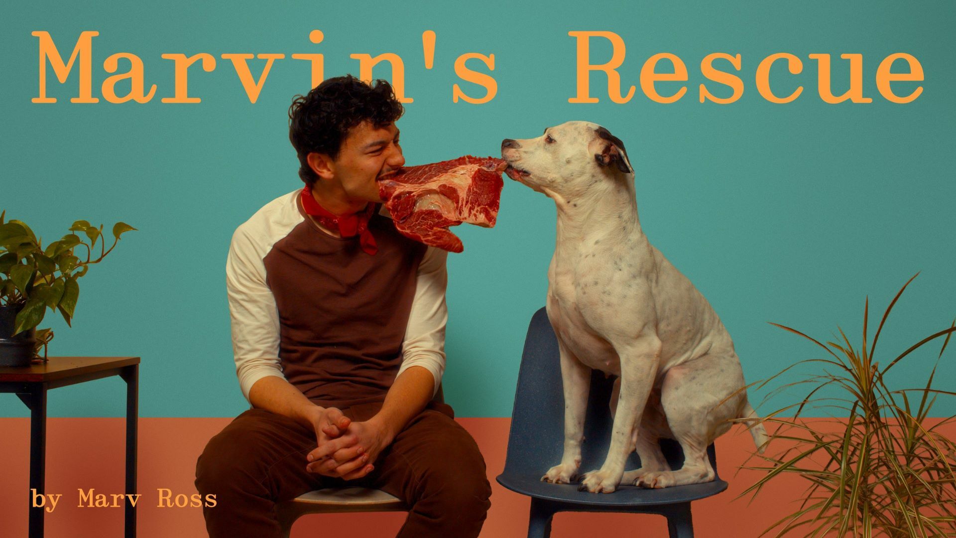 Marvins Rescue 1920X1080