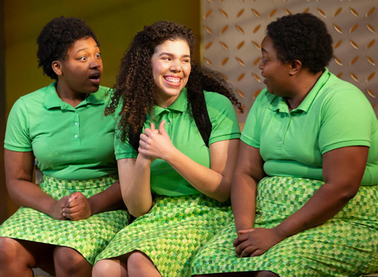 Preview image for Reviews of *School Girls; Or, The African Mean Girls Play*