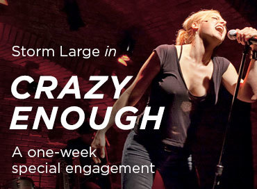 Preview image for Crazy Enough - Special Engagement