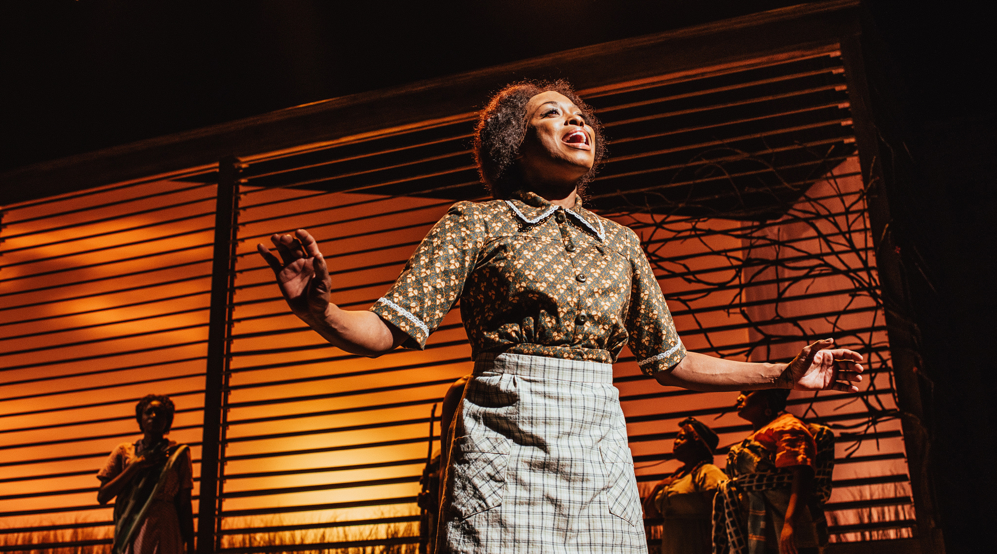 Felicia Boswell as Celie with members of the cast of The Color Purple.&nbsp;Photo by Patrick Weishampel/blankeye.tv.