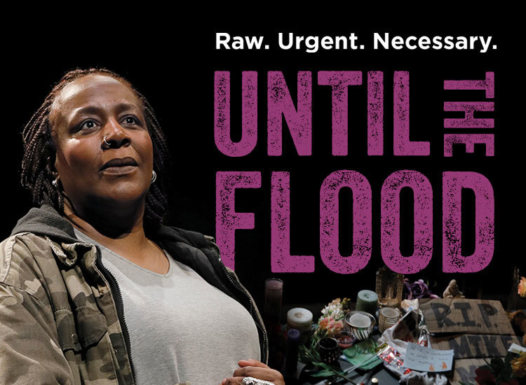 Preview image for The World of the Play: "Until The Flood"