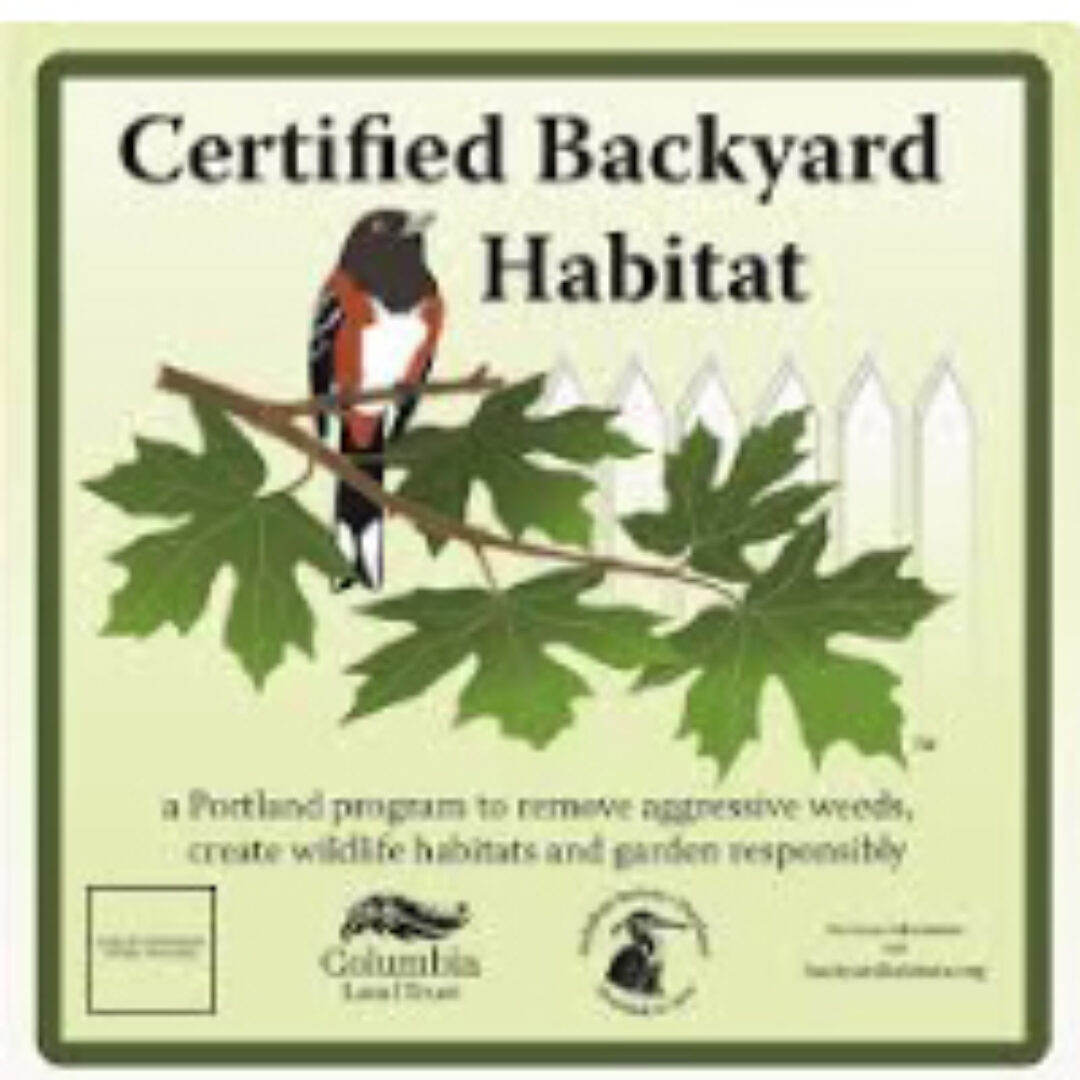 About Backyard Habitat